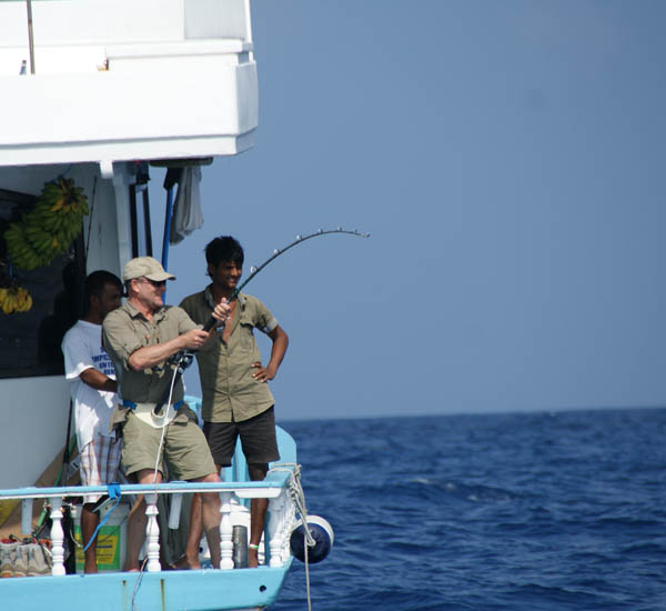 Erfolg beim Marlinangeln